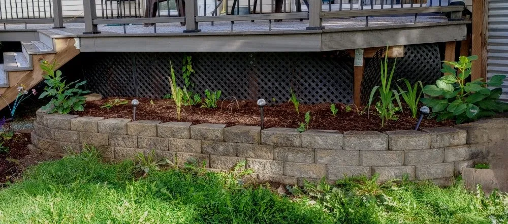 Expert landscaping services in Everett, WA by Curb Appeal Landscaping and Home Services