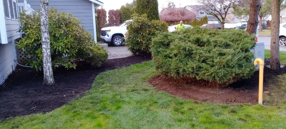Top-rated landscape installation experts serving Everett, WA - Curb Appeal Landscaping and Home Services