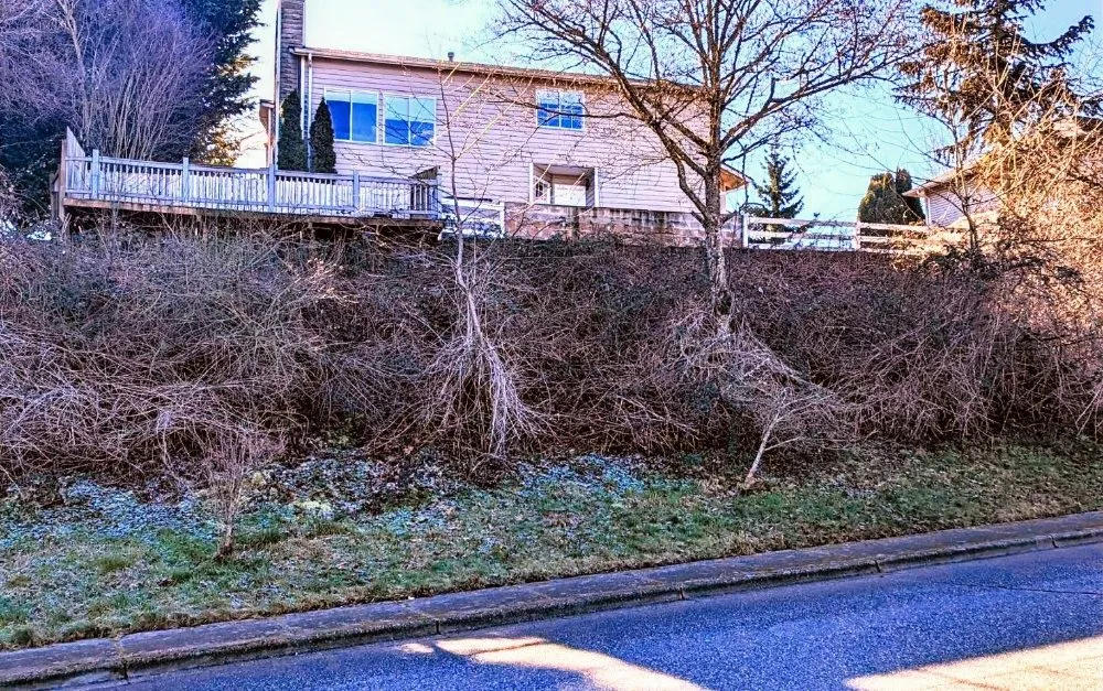 Custom landscaping services with custom design across Everett, WA - Curb Appeal Landscaping and Home Services