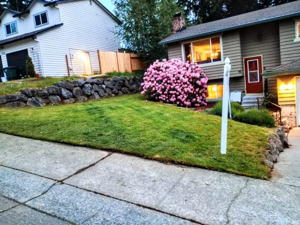 Professional garden landscaping in Everett, WA by Curb Appeal Landscaping and Home Services