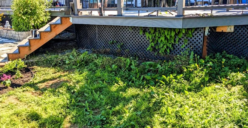 Affordable landscaping services for outdoor upgrades in Everett, WA by Curb Appeal Landscaping and Home Services