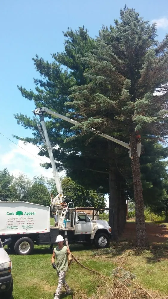 Affordable landscape installation in Christiansburg, VA by Curb Appeal Landscaping and Tree Service