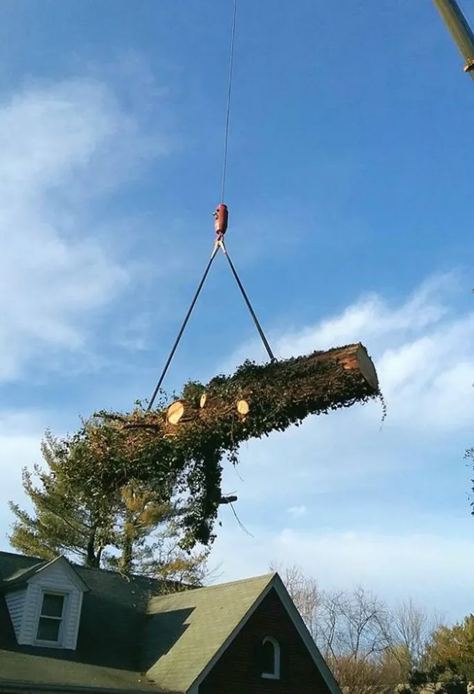 Trusted landscape design experts serving Christiansburg, VA - Curb Appeal Landscaping and Tree Service