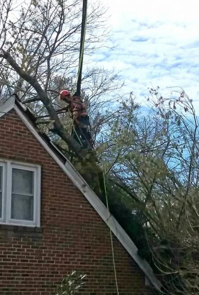 Custom lawn care service experts serving Christiansburg, VA - Curb Appeal Landscaping and Tree Service