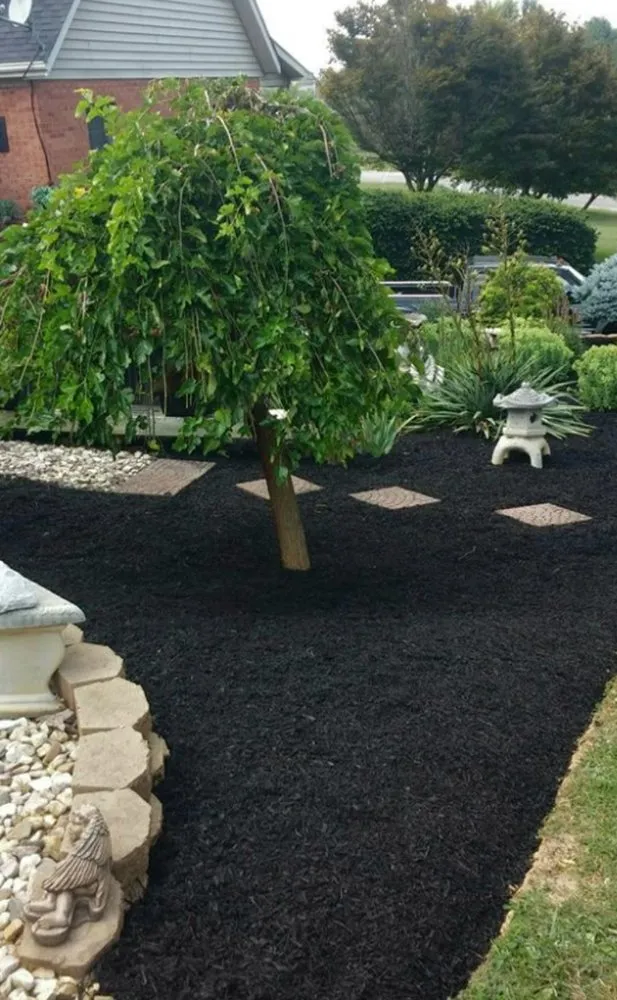 Professional yard cleanup service in Christiansburg, VA by Curb Appeal Landscaping and Tree Service