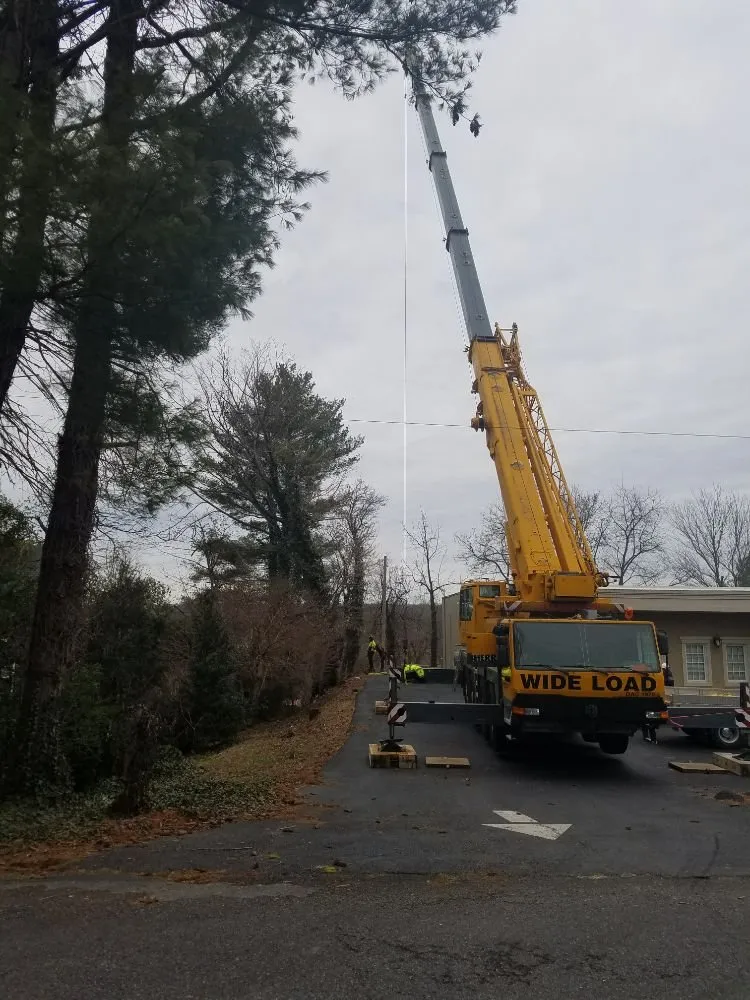 Trusted landscaping services experts serving Christiansburg, VA - Curb Appeal Landscaping and Tree Service