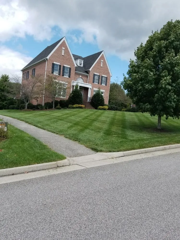 Local yard cleanup service for outdoor upgrades across Christiansburg, VA - Curb Appeal Landscaping and Tree Service