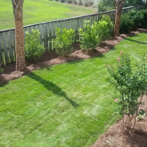 Expert landscape installation in Charleston, SC - Curb Appeal Landscaping