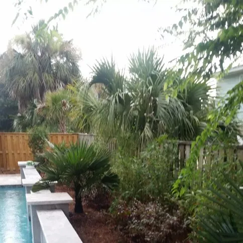 Top-rated yard maintenance experts serving Charleston, SC - Curb Appeal Landscaping