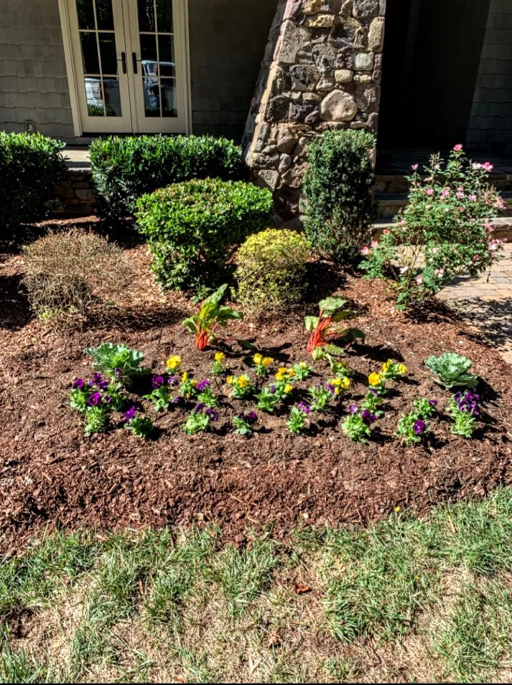 Expert landscape installation in Charlotte, NC by Curb Appeal Landscaping