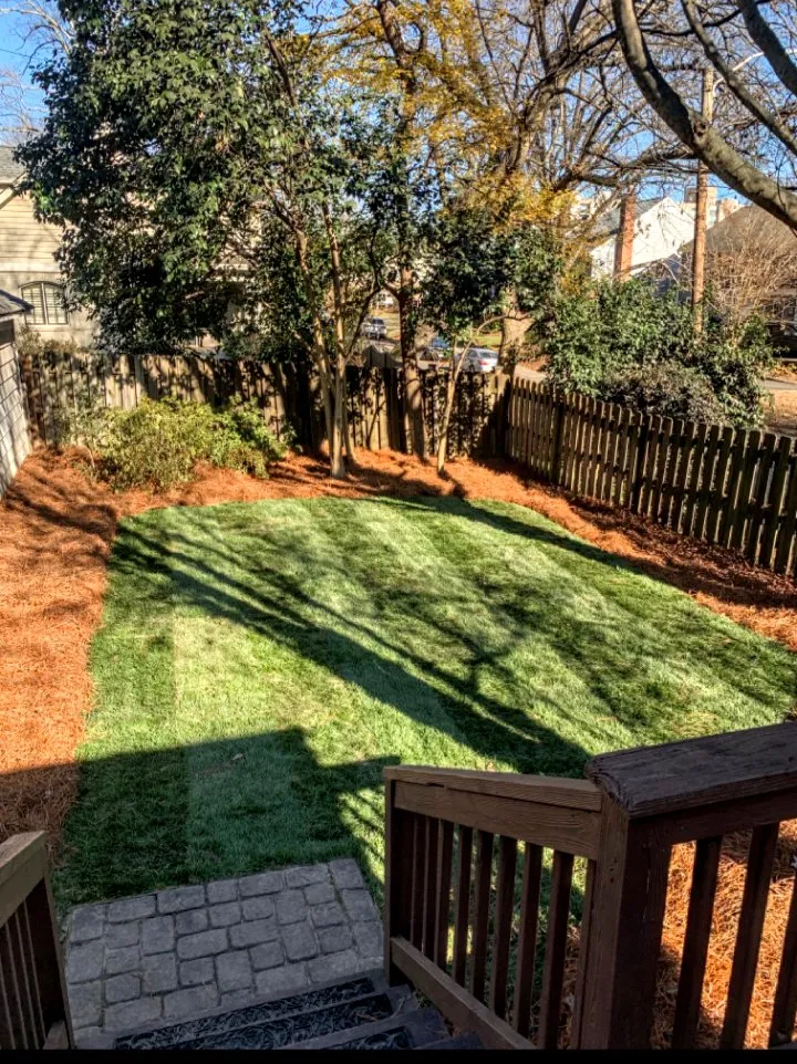 Trusted landscaping services in Charlotte, NC - Curb Appeal Landscaping