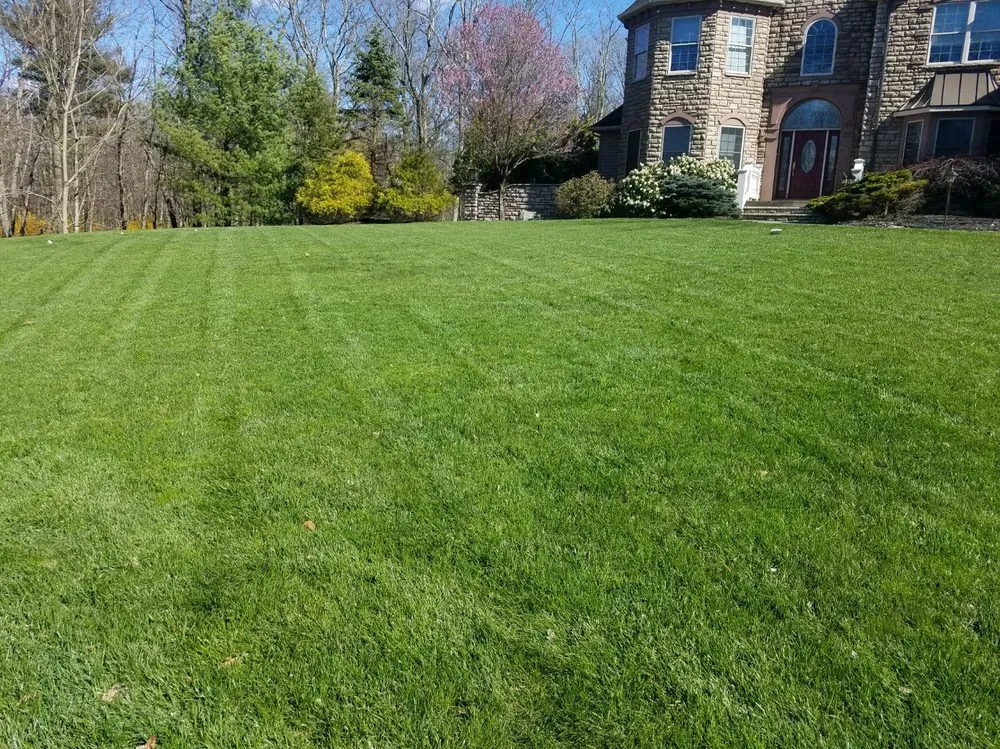Professional landscape design experts serving Mount Pocono, PA - Curb Appeal Landscaping