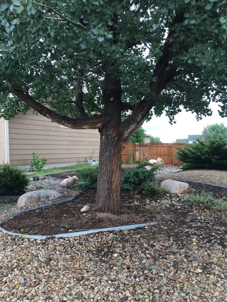 Expert outdoor landscaping in Colorado Springs, CO - Curb Appeal Lawn & Tree Care