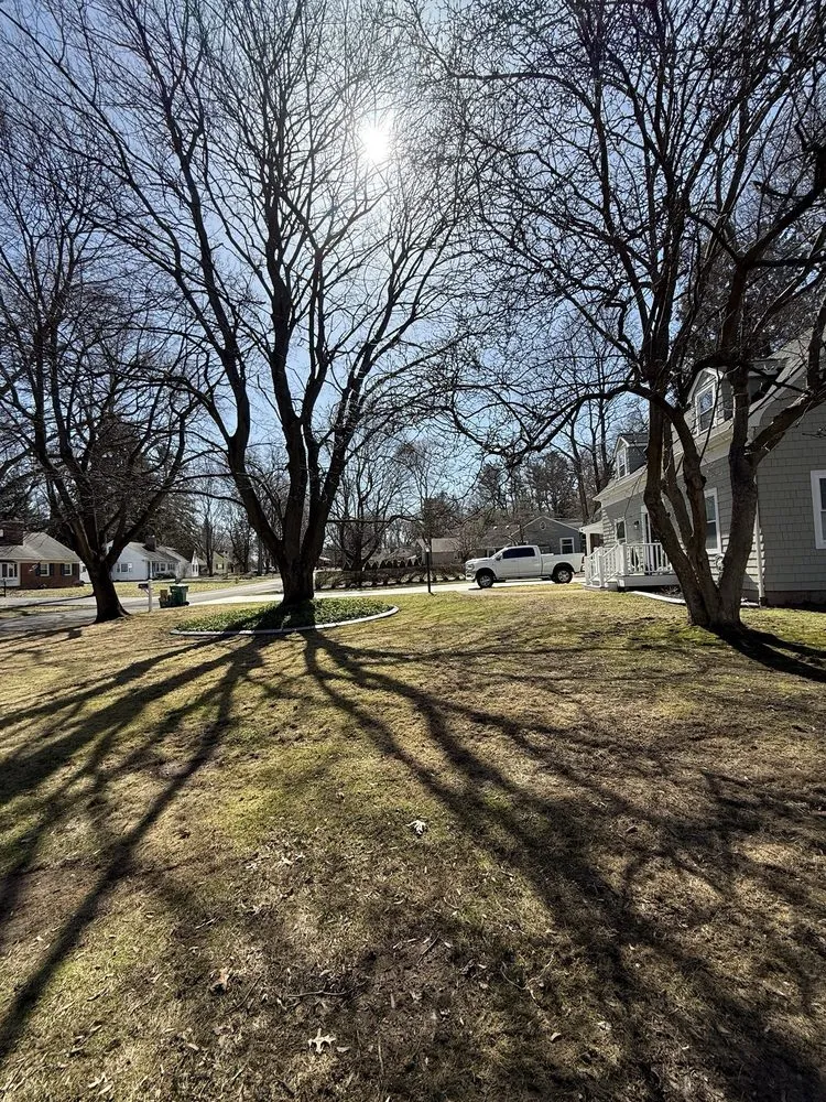 Top-rated landscaping services near you across Rochester, NY - Curb Appeal Lawn Care & Maintenance