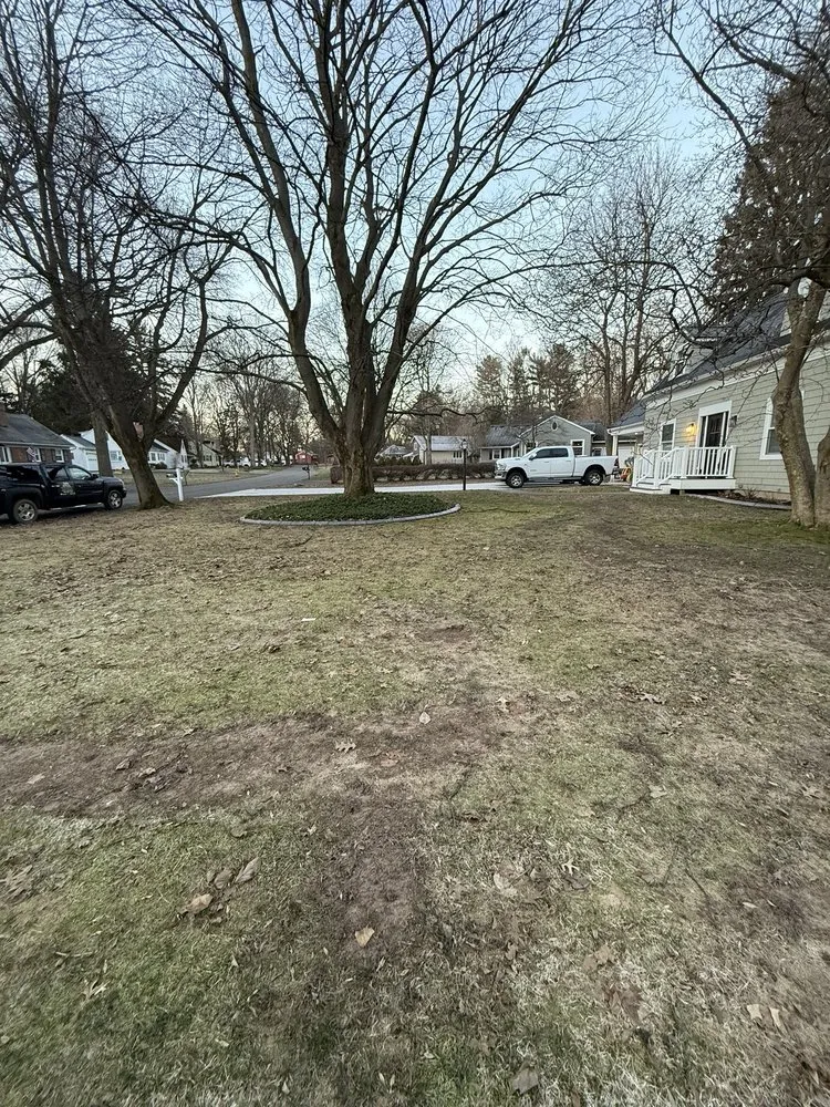 Top-rated yard cleanup service in Rochester, NY - Curb Appeal Lawn Care & Maintenance