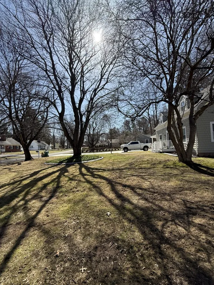 Trusted landscaping services in Rochester, NY - Curb Appeal Lawn Care & Maintenance