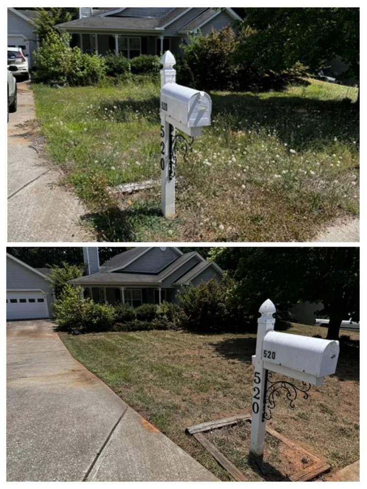 Trusted landscaping services with custom design across Statham, GA - Curb Appeal Lawn Care & More