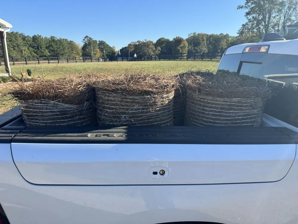 Expert outdoor landscaping experts serving Statham, GA - Curb Appeal Lawn Care & More