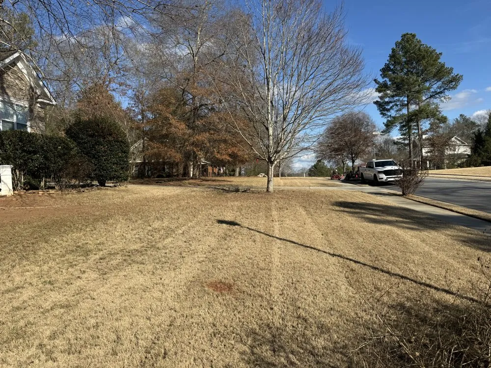 Reliable landscaping services for outdoor upgrades across Statham, GA - Curb Appeal Lawn Care & More