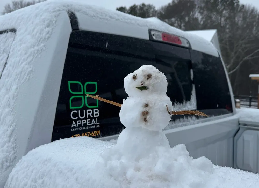 Reliable outdoor landscaping for beautiful yards in Statham, GA by Curb Appeal Lawn Care & More