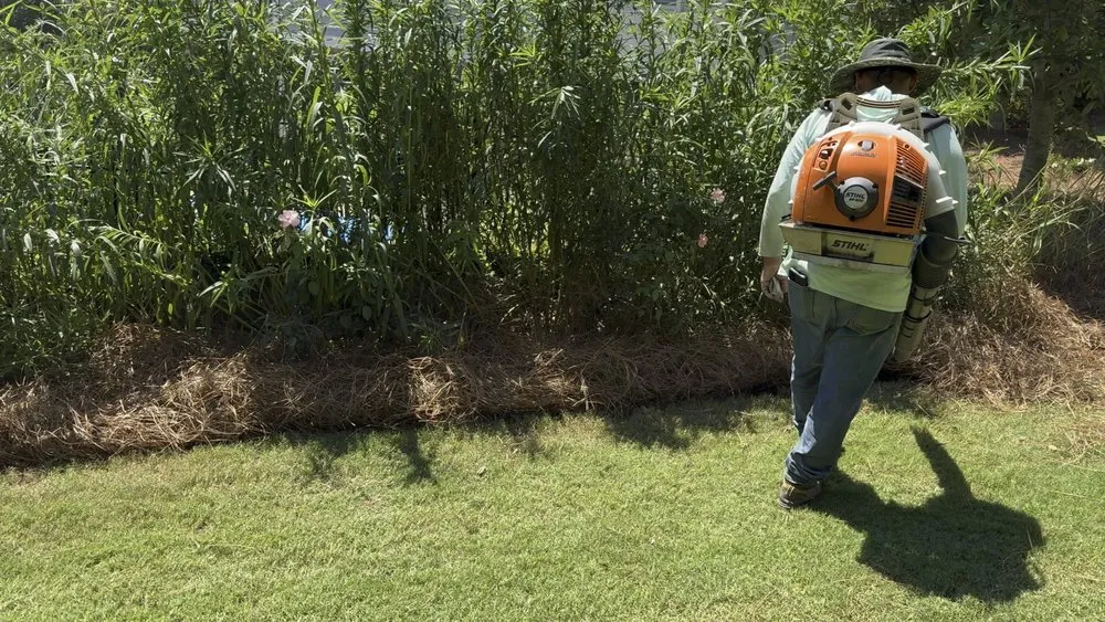 Reliable yard cleanup service for year-round maintenance across Statham, GA - Curb Appeal Lawn Care & More