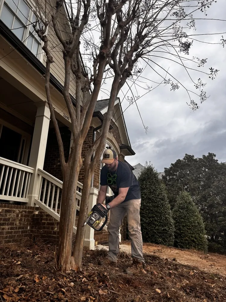 Local yard cleanup service in Statham, GA - Curb Appeal Lawn Care & More