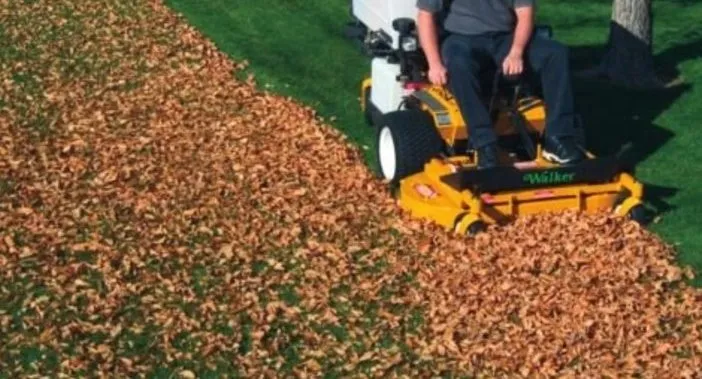 Affordable outdoor landscaping in Bartlesville, OK by Curb Appeal Lawn Care and Landscaping