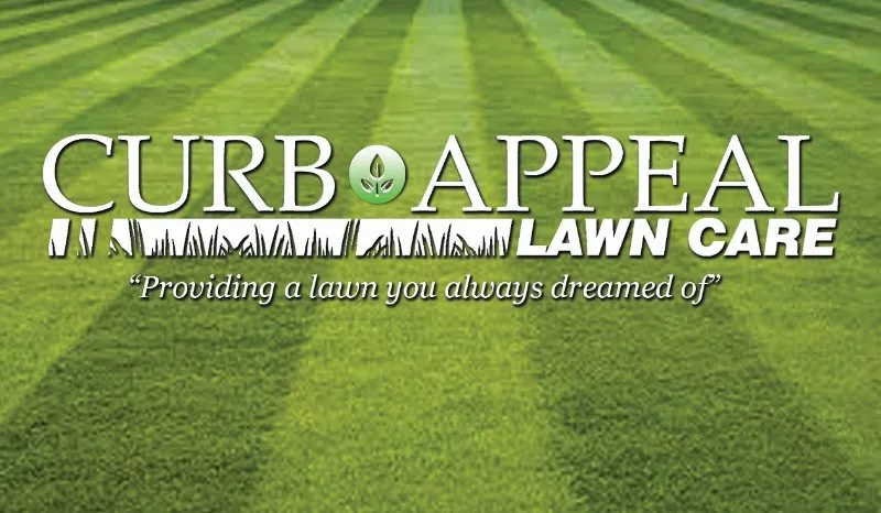 Professional residential landscaping in Rockford, MI by Curb Appeal Lawn Care