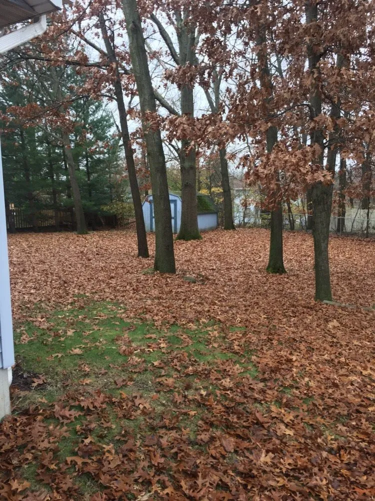 Custom landscape installation experts serving Rockford, MI - Curb Appeal Lawn Care