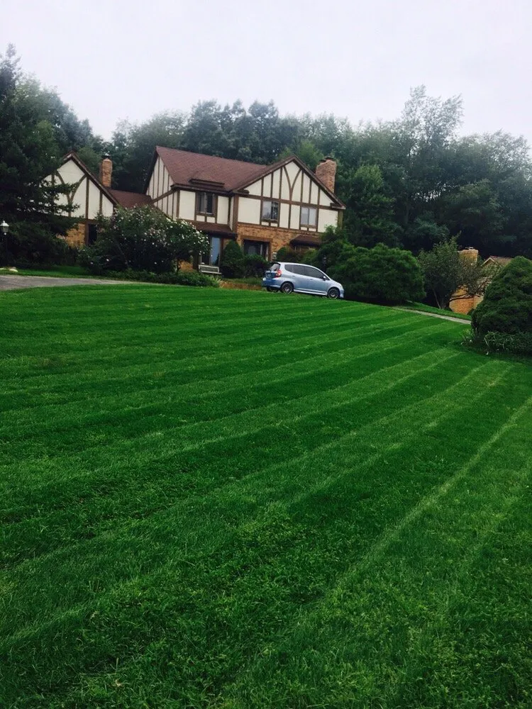 Expert yard maintenance in Rockford, MI - Curb Appeal Lawn Care