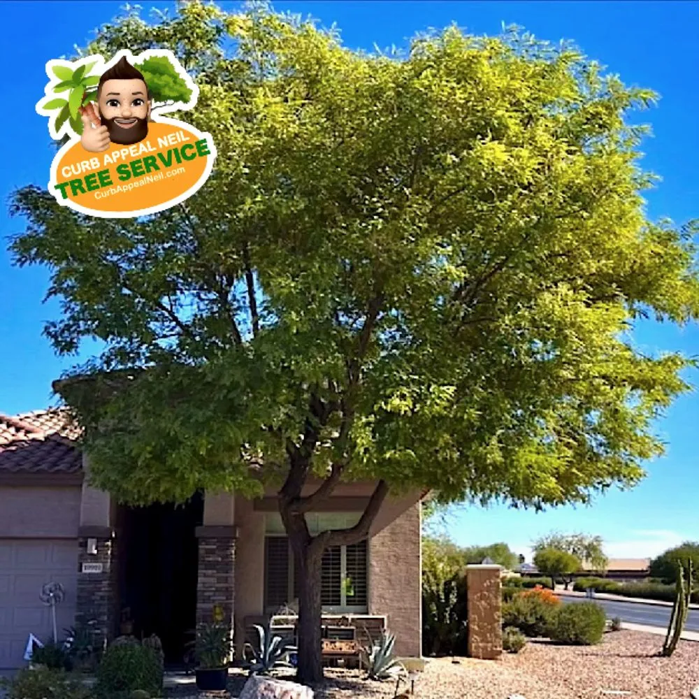 Affordable residential landscaping in Maricopa, AZ by Curb Appeal Neil