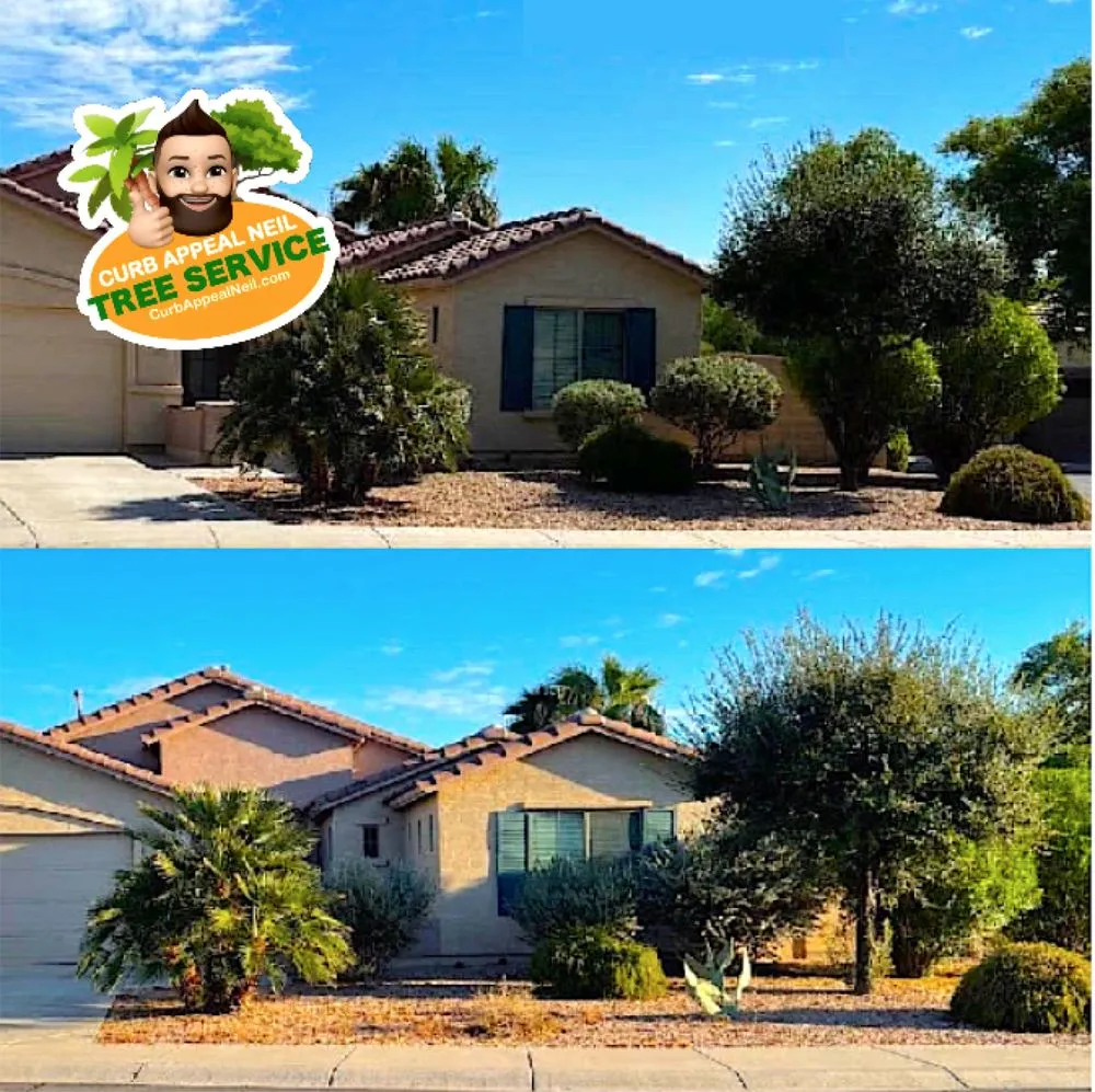 Reliable landscaping services in Maricopa, AZ - Curb Appeal Neil