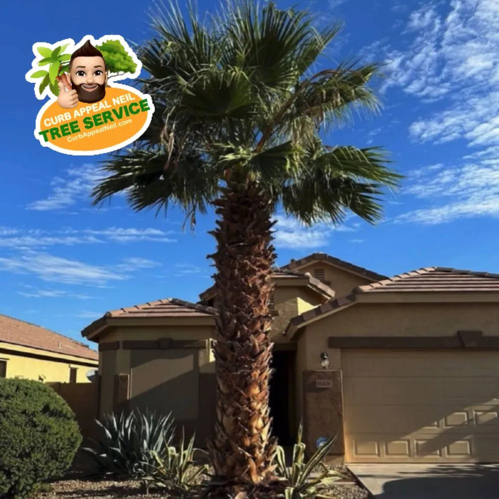 Local landscape design in Maricopa, AZ by Curb Appeal Neil