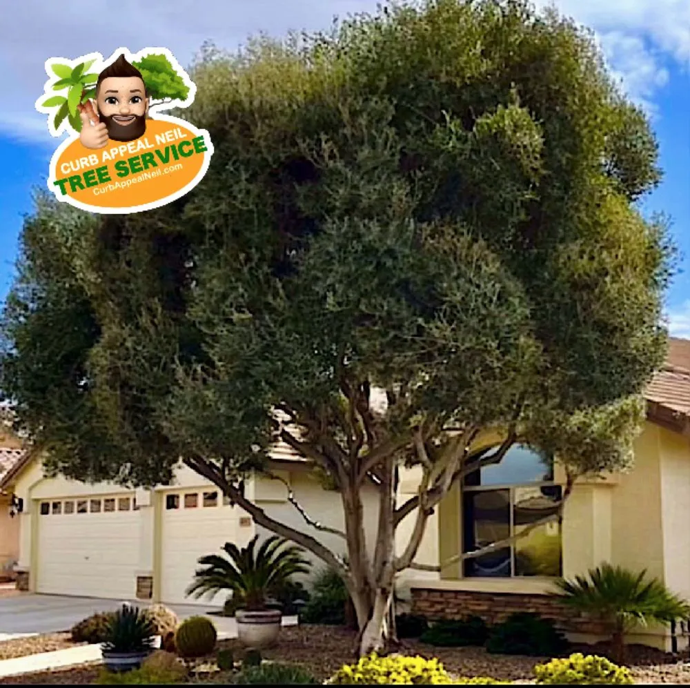 Trusted garden landscaping in Maricopa, AZ - Curb Appeal Neil