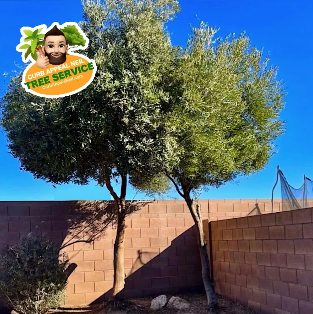 Trusted yard cleanup service in Maricopa, AZ by Curb Appeal Neil