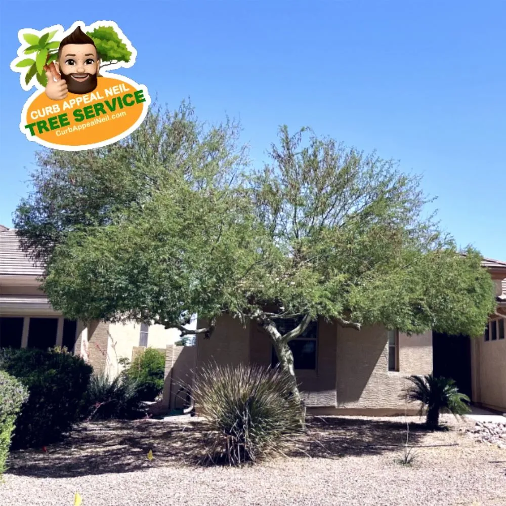 Professional lawn care service experts serving Maricopa, AZ - Curb Appeal Neil