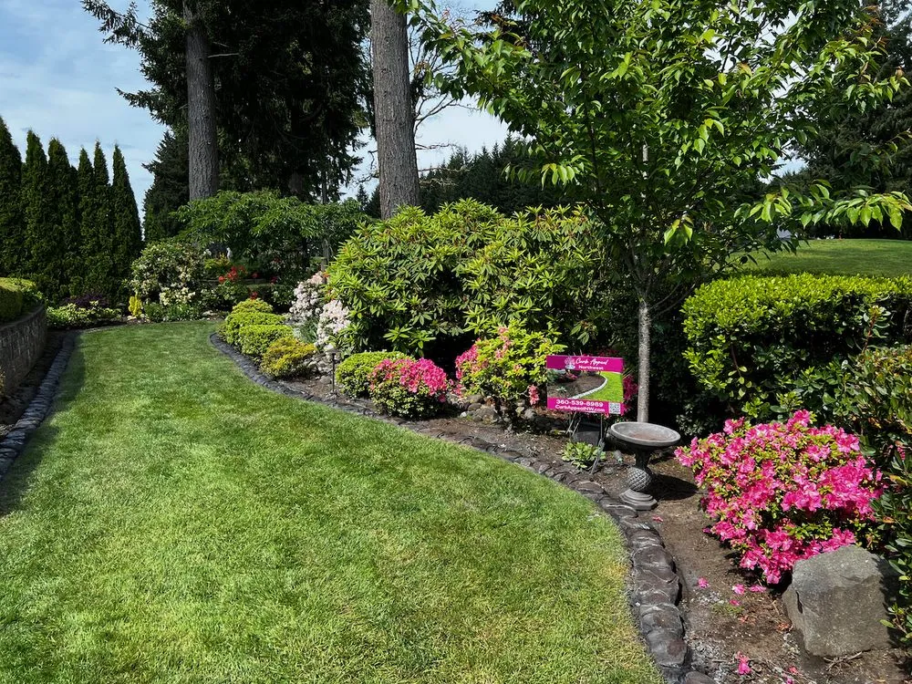 Reliable lawn care service in Lacey, WA - Curb Appeal Northwest