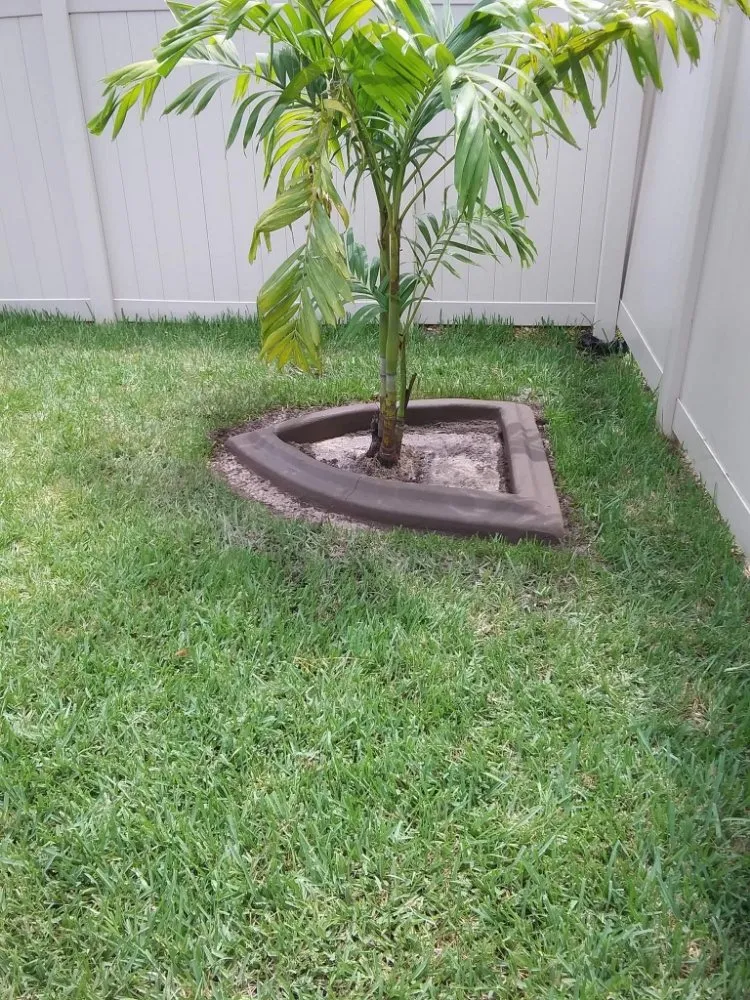 Local yard cleanup service near you in Palm Bay, FL by Curb Appeal Of Brevard