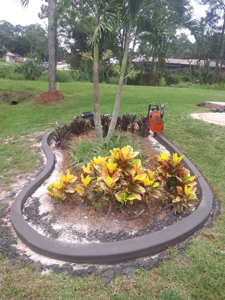 Top-rated lawn mowing service experts serving Palm Bay, FL - Curb Appeal Of Brevard