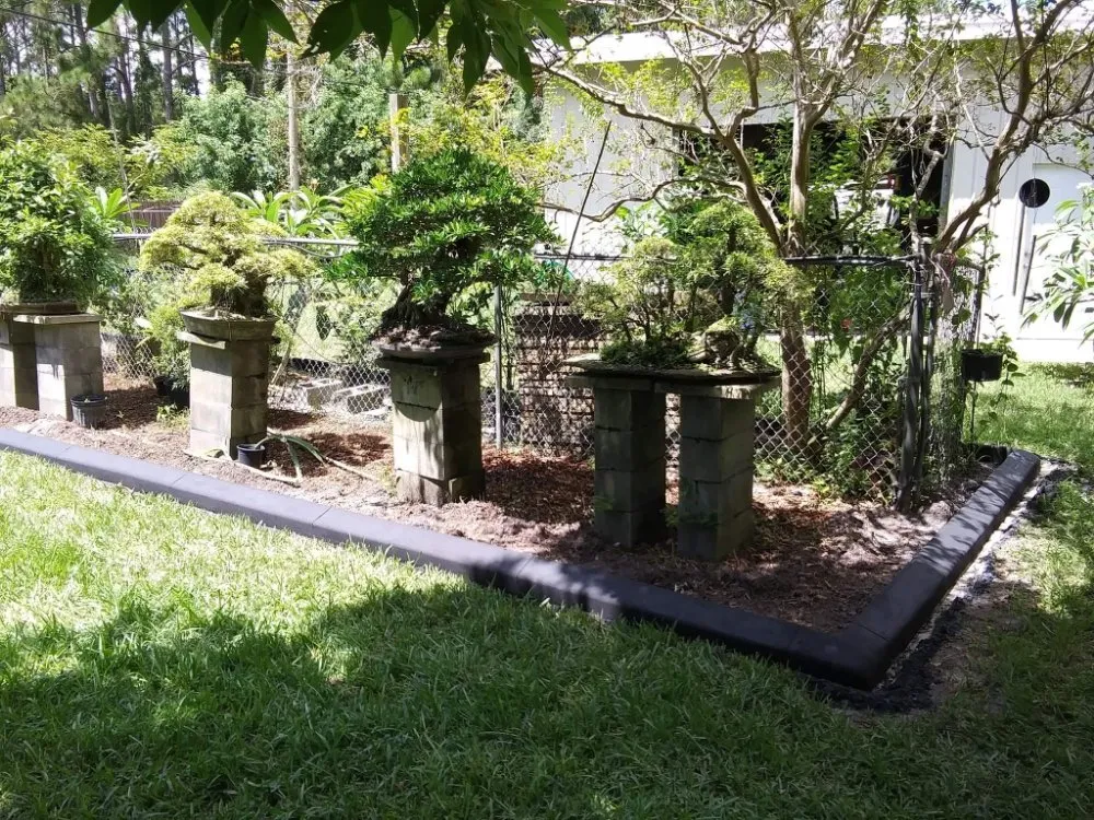 Expert yard maintenance in Palm Bay, FL by Curb Appeal Of Brevard