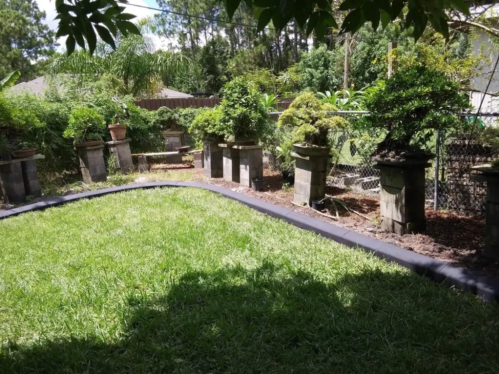 Professional outdoor landscaping in Palm Bay, FL by Curb Appeal Of Brevard