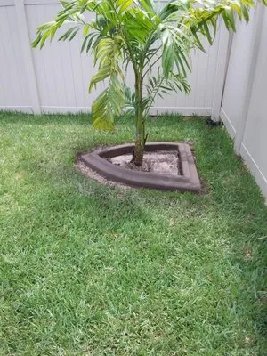 Curb Appeal Of Brevard Logo