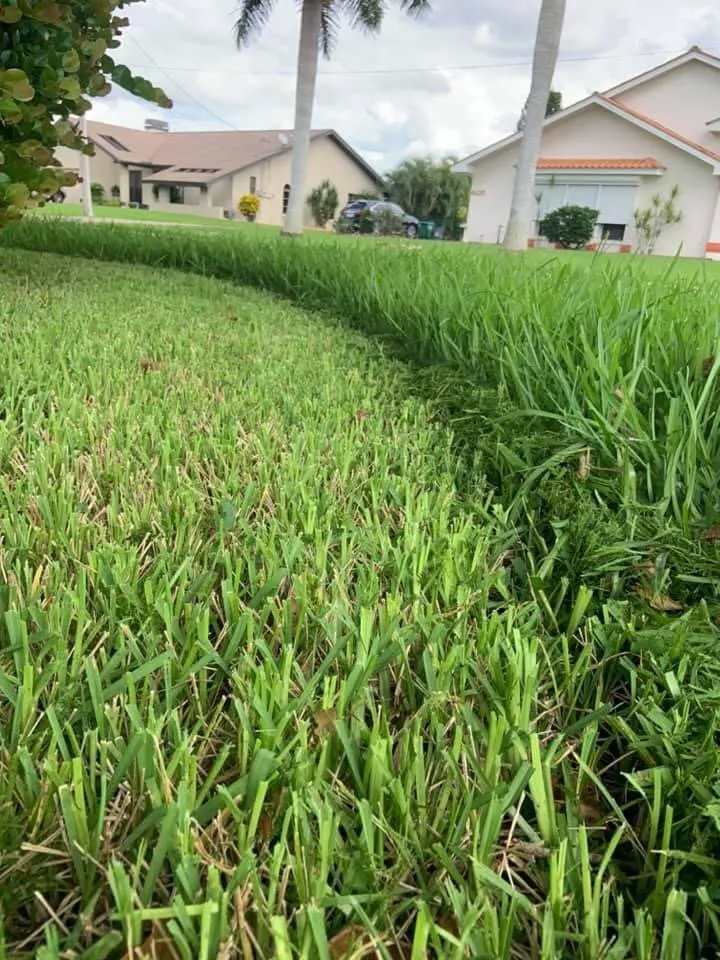 Trusted yard maintenance for year-round maintenance across Nashville, GA - Curb Appeal Outdoor Services