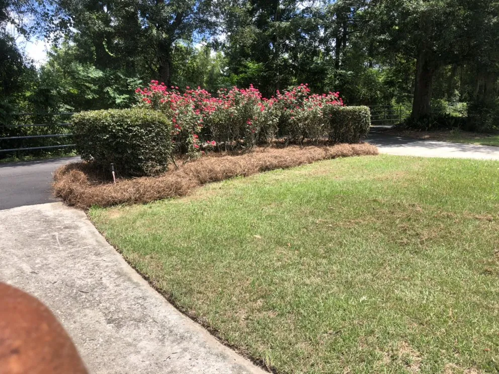 Custom yard maintenance for homes in Nashville, GA by Curb Appeal Outdoor Services