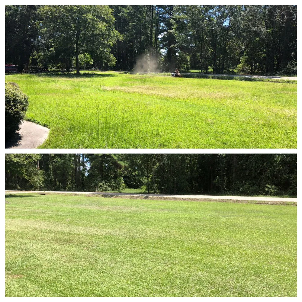 Custom outdoor landscaping for beautiful yards across Nashville, GA - Curb Appeal Outdoor Services