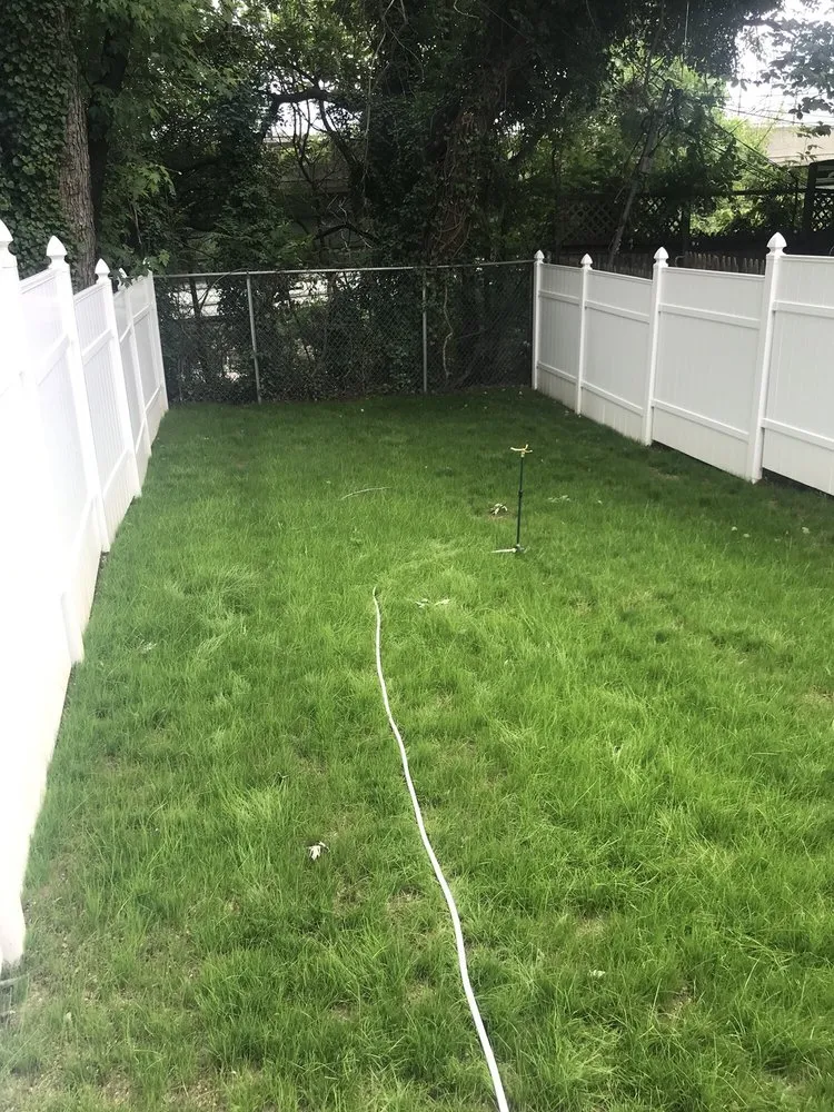 Reliable yard maintenance in Philadelphia, PA - Curb Appeal