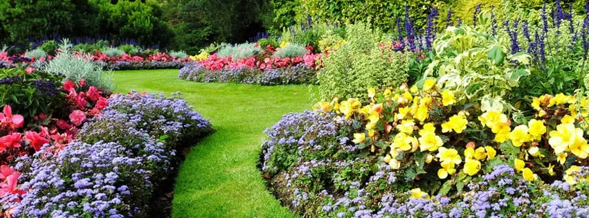 Trusted landscaping services near you in Walnutport, PA by Curb Appeal Plus