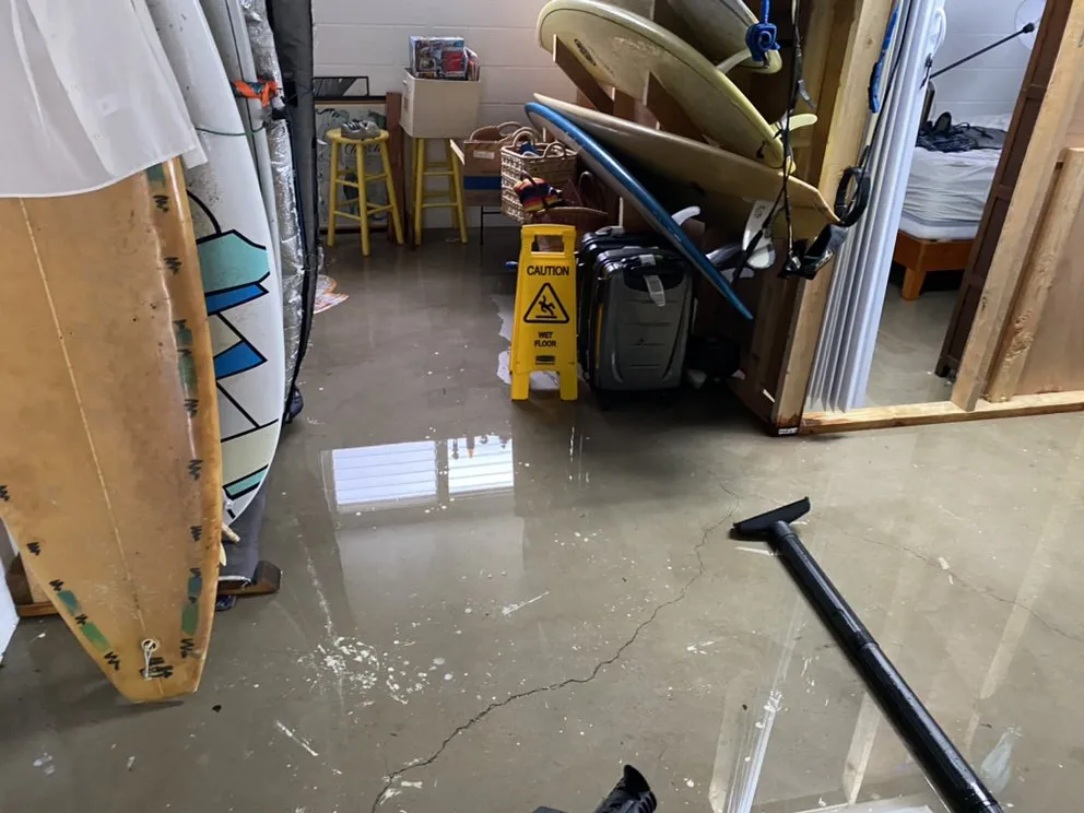 Reliable lawn care service experts serving Honolulu, HI - Curb Appeal Property Services