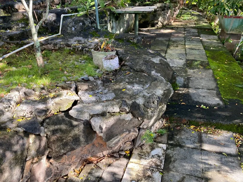 Expert yard cleanup service near you across Honolulu, HI - Curb Appeal Property Services