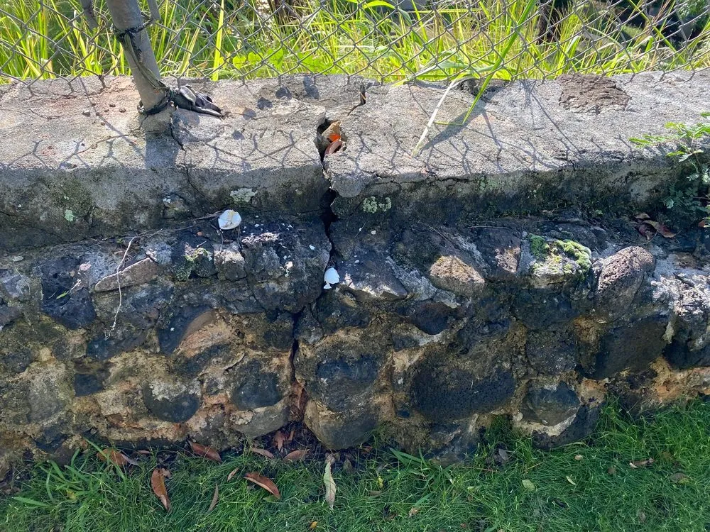 Reliable residential landscaping experts serving Honolulu, HI - Curb Appeal Property Services